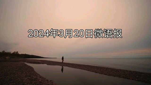 2024年3月20日微语报