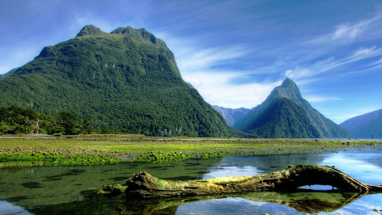 谢军《山谷里的思念》深情的歌声,唱出了多少思念之情,听得心痛