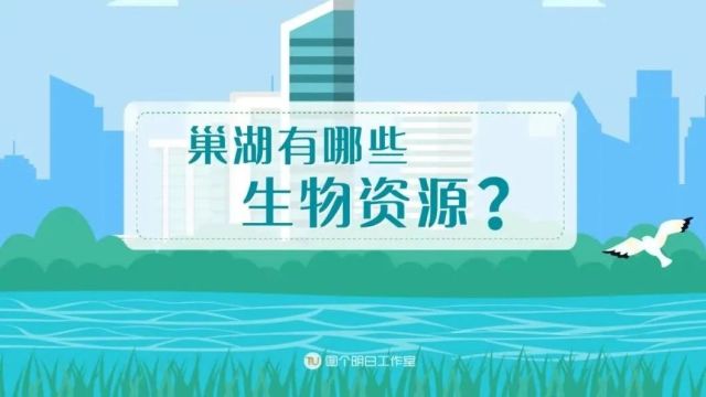 保护生物多样性 | 巢湖竟有这么多宝贝