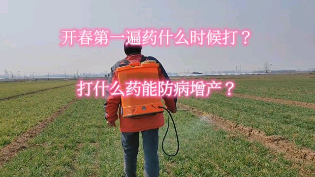 开春第一遍药什么时候打?打什么药能防病增产?