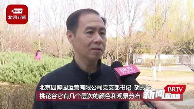 丰台赏花路线:千种风情万物同美