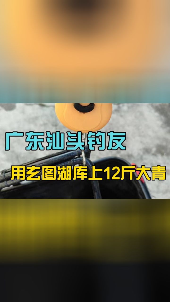 玄图鱼竿手竿超轻超硬台钓28调轻量大综合