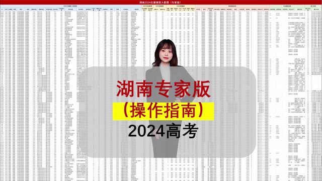 湖南24年专家版数据:规划师常用的数据,4步轻松出方案