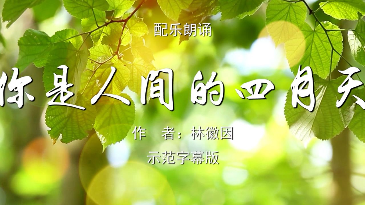 林徽因现代诗 少儿诗歌朗诵配乐伴奏舞台演出led背景视频素材tv