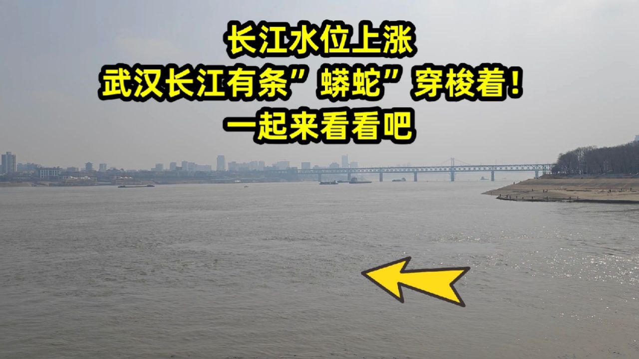 3月22长江水位上涨,武汉长江有条"蟒蛇"穿梭着!一起来看看吧