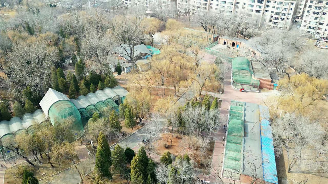 营口市人民公园添新丁