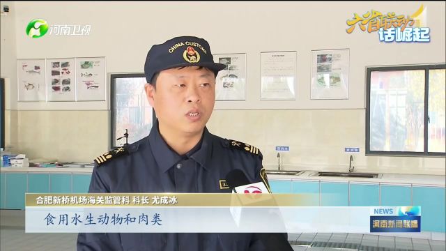 六省联动话崛起丨跟着总书记看中部新图景