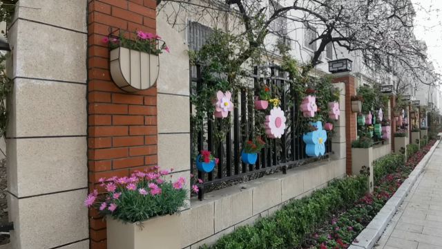 鹤壁市淇滨区:樱花季一起相约“樱花里”