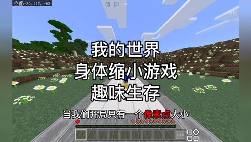 我的世界:当我们开局只有一个像素点大小,并且只要挖掉钻石就会掉落