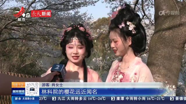 【春光不可辜负】南昌:满“院”春色关不住 樱花绽放醉游人