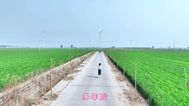 家乡的美景,有着一望无际的麦田