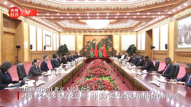 独家视频丨习近平会见多米尼克总理:中多关系已经成为南南合作的典范