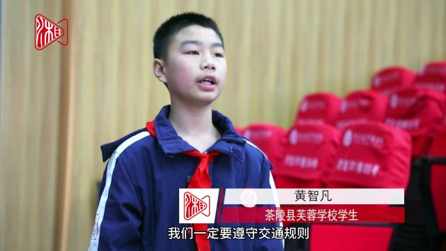 茶陵:为中小学生量身定制交通安全课程