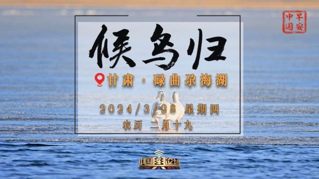 光影流转尕海湖 万籁回响甘南天