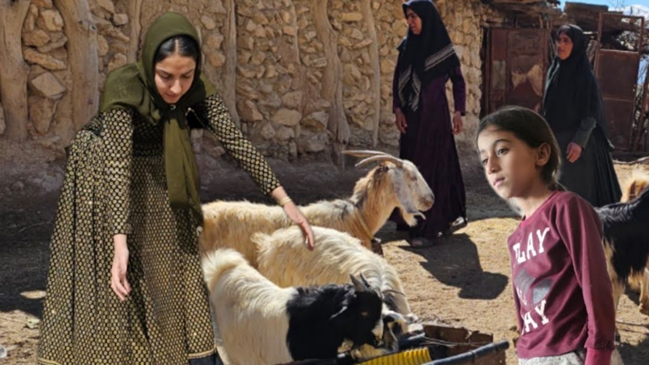 第155集0202尼娜离开的第七天,索卡特找到了一份工作,但过程却让