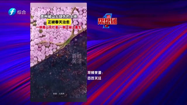 帮帮侠热评:贵州被山火烧伤的土地正被春天“治愈”