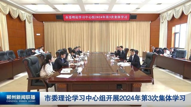 市委理论学习中心组开展2024年第3次集体学习