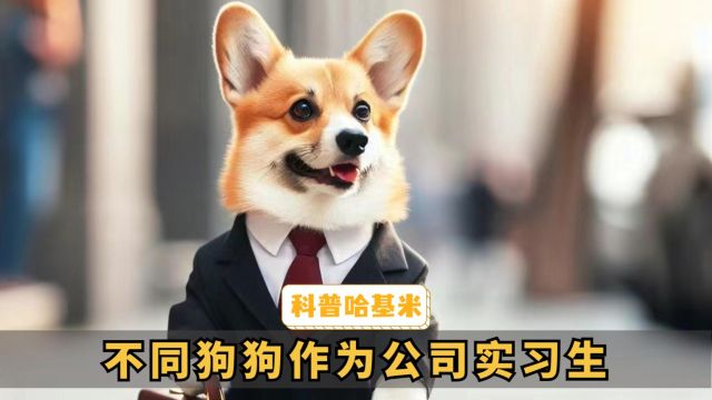 狗狗时代:公司招了狗狗实习生!