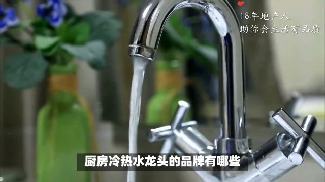 厨房升级秘籍:冷热水龙头三大品牌,引领舒适用水新风尚