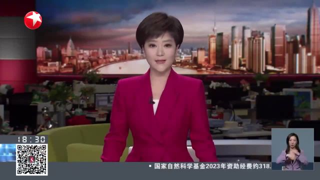 上海:中心城区最大保障房项目首批房源竣工 首批3600套保障房年中逐步启用 大部分为小户型