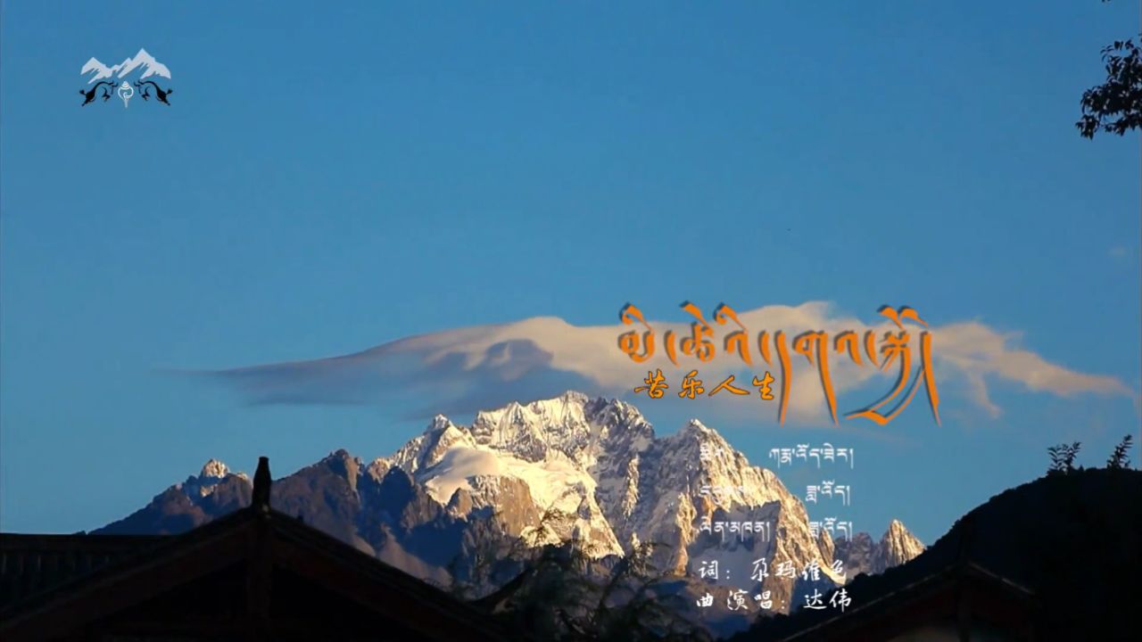 【苦乐人生】达伟