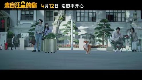 由戴军献唱的电影《来自汪星的你》片尾曲MV《旺财歌》正式上线！影片将于明日全国上映！