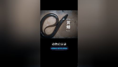 02长亭外,古道边,芳草天0202