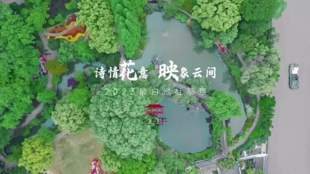 踏青出游选哪里?全市城市公园信息“一网查询”→