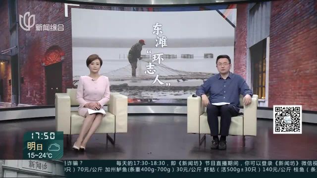 给候鸟打个上海“印戳” 崇明东滩自然保护区迎鸟类环志期