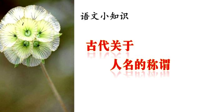 语文小知识:古代关于人名的称谓