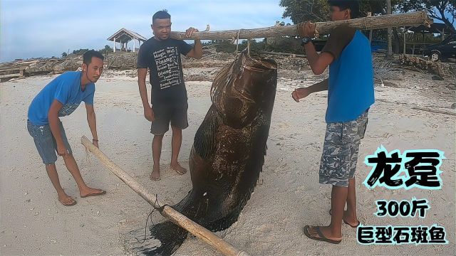 国外渔民老哥,深海用大钩挂海鲶鱼做饵,抓超过200斤的龙趸王