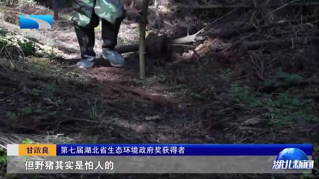 2024湖北环保政府奖 植物专家甘启良:热爱只在此山中