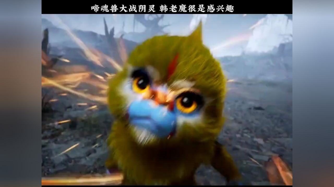 啼魂兽大战阴灵,韩老魔对此很是感兴趣