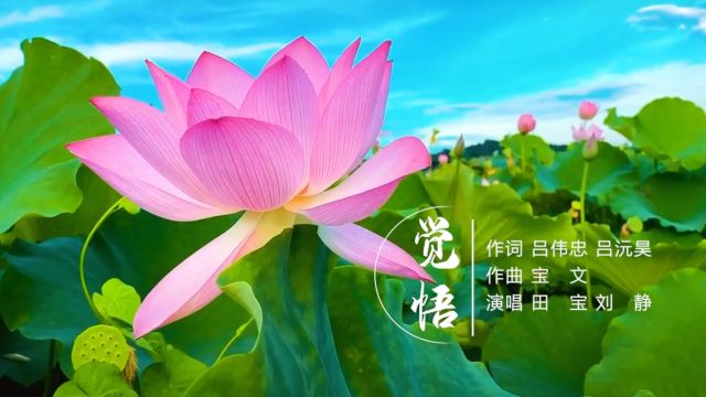 《觉悟》 作词:吕伟忠 吕沅昊 作曲:宝文 演唱:刘静 田宝