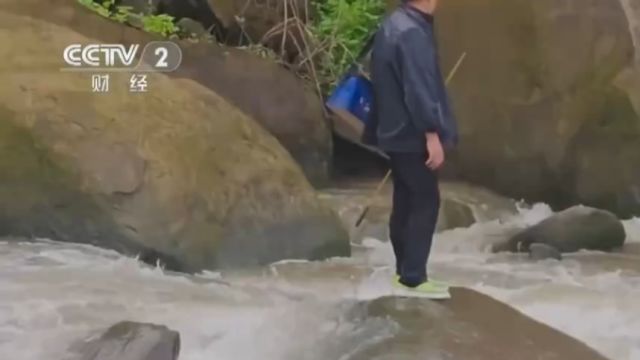 南方多地遭遇极端天气,重庆长寿:强降雨致河水上涨,老人被困