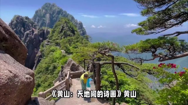 黄山:天地间的诗画