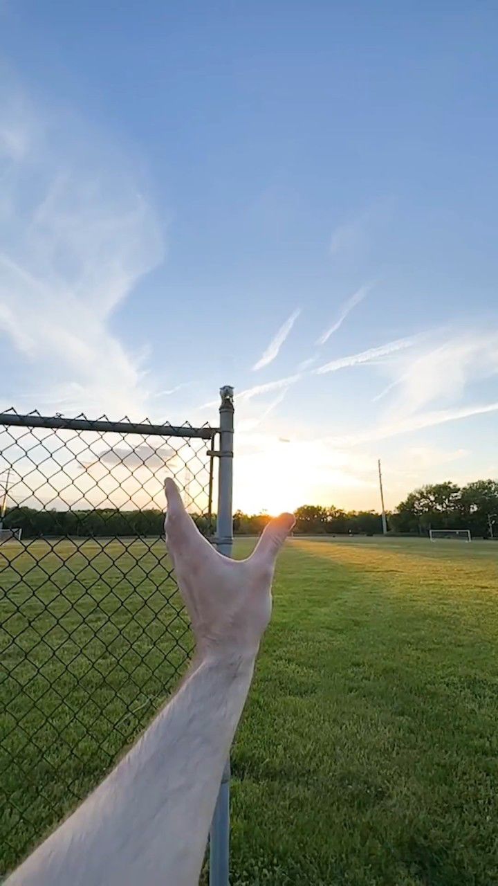 懒人手抓饼,简单又好吃