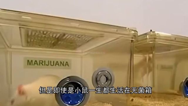 你是谁?——你不知道的基因秘密三