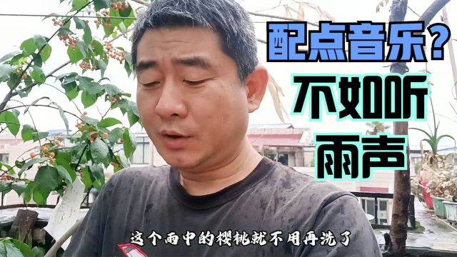 成都春雨绵绵,在屋顶看鱼玩猫种菜吃自家樱桃