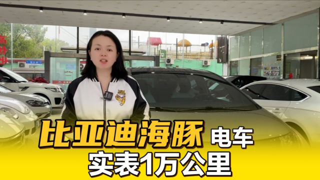 2022年比亚迪海豚,实表1万公里,新能源电车如何?