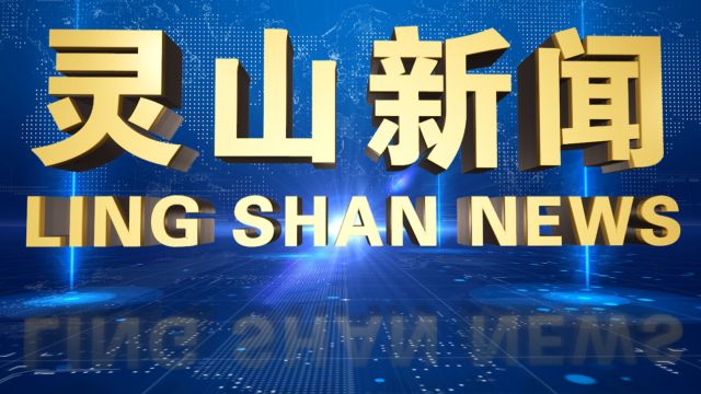 2024年4月13日灵山电视新闻