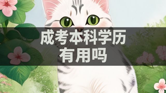 成考本科学历有用吗?小白必看