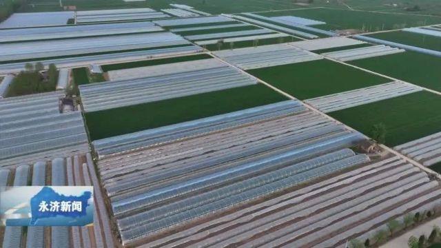 【视觉永济】洗马村千亩西瓜种植基地田园风光