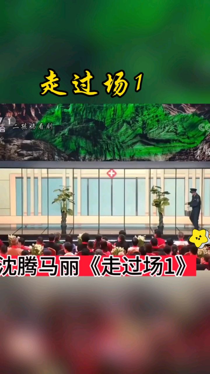 沈腾马丽《走过场》