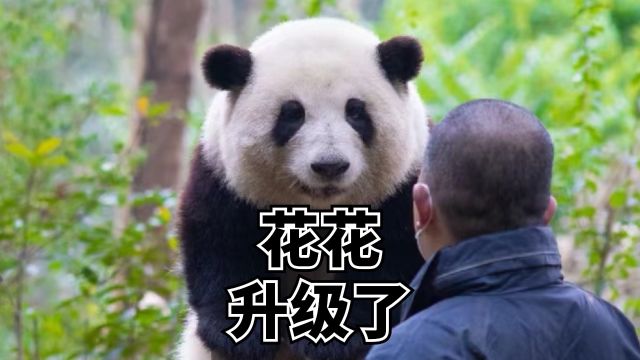 花花被任命为文旅局局长,以后请你们叫我花花局长