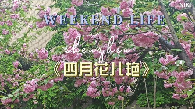 四月花儿艳,美声音乐,好听歌曲