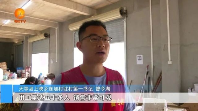 起步即冲刺 产业振兴助推天等建设现代化山区强县