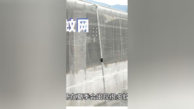 养殖场防蚊网A养猪场防蚊网A防蚊虫纱网