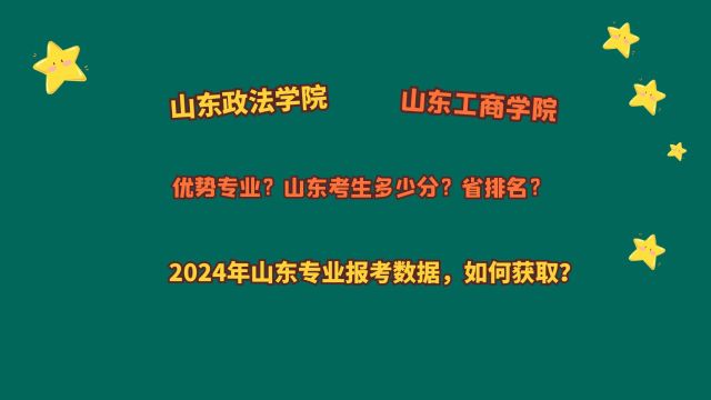 山东政法学院、山东工商学院,山东考生多少分?2024山东报考数据