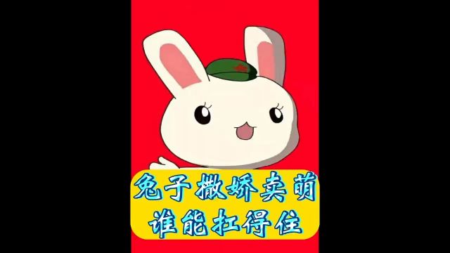 这么可爱的兔子,谁会拒绝喜欢他呢?#动漫